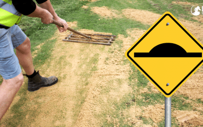 Top Dressing Your Lawn – Step by Step Guide