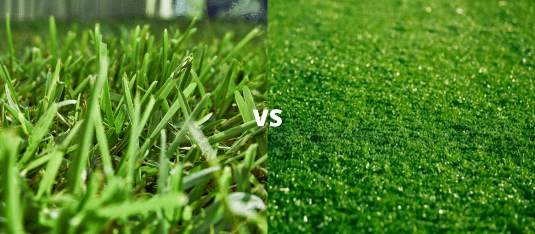 Artificial Grass vs Real Grass