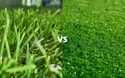 Artificial Grass vs Real Grass