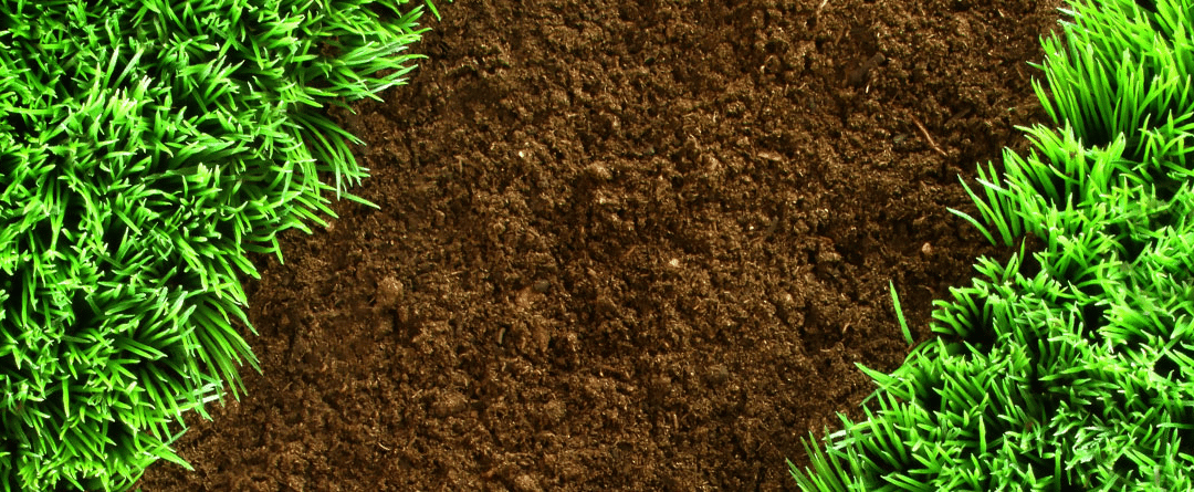 Can You Lay New Turf on Top of Old Grass?