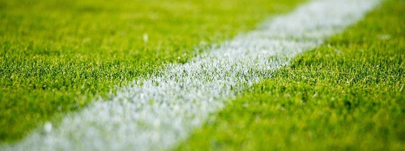Score the Best Sports Field Turf Grass
