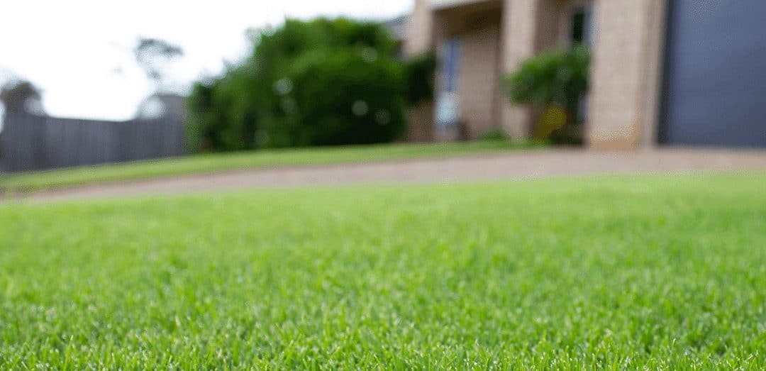 TifTuf Bermuda Turf Recognised for its Water Conservation