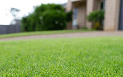 TifTuf Bermuda Turf Recognised for its Water Conservation