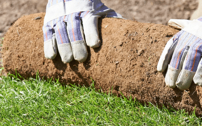 How to Lay Turf