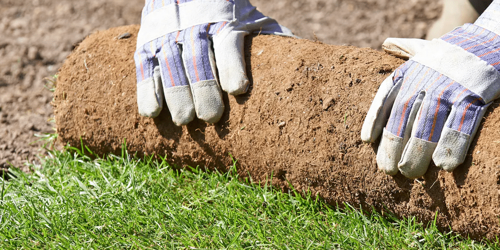 How to Lay Turf