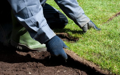 Turf Rolls 101: Where High-Quality Lawns Start