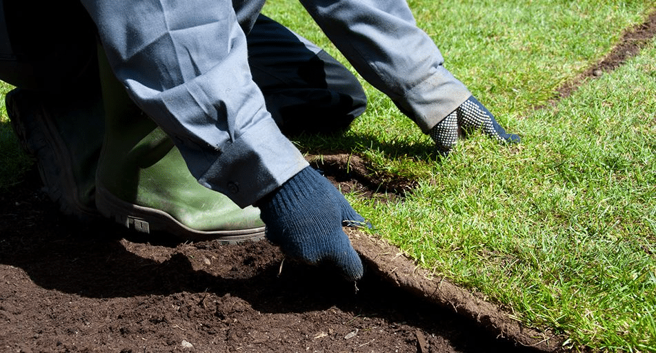 Turf Rolls 101: Where High-Quality Lawns Start