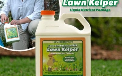 A Strong, Healthy Lawn Starts with Lawn Kelper 