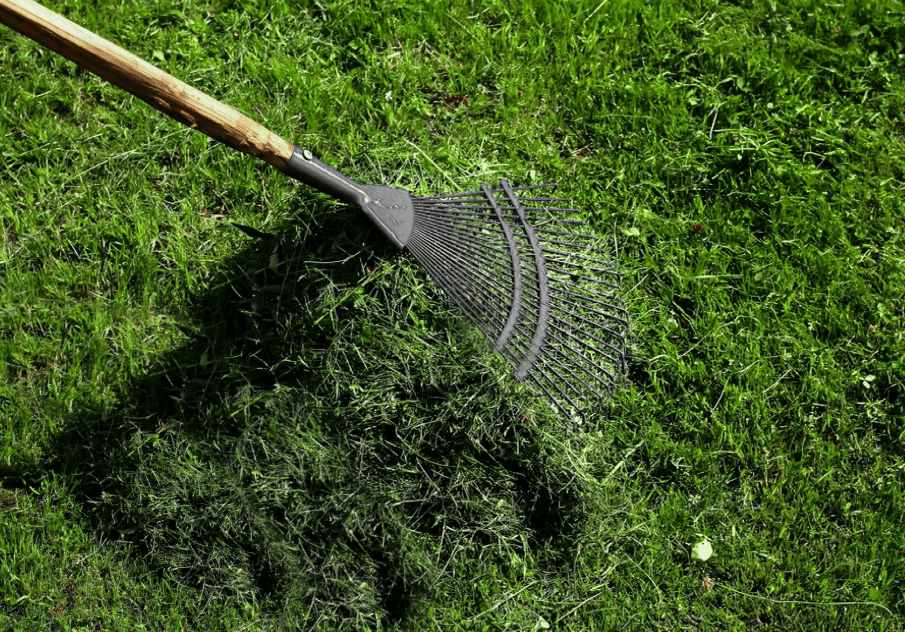 Remove Silt from Grass