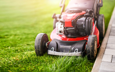 News 3 When To Cut New Grass