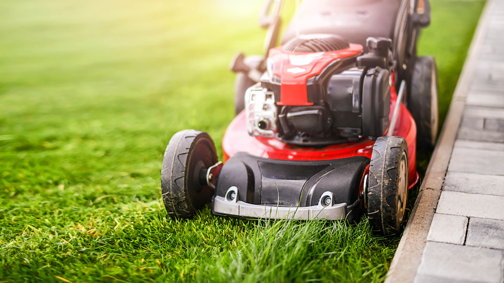 When To Cut New Grass