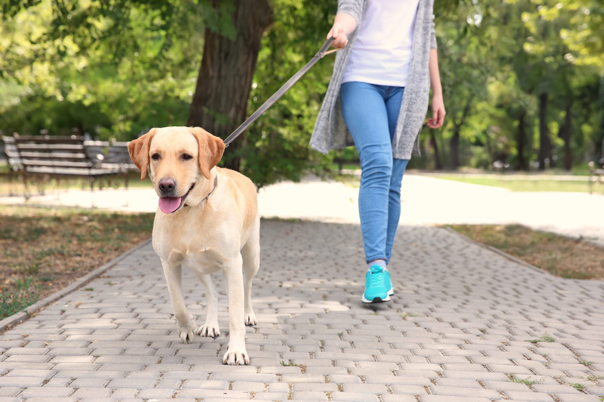Change Your Walk Route