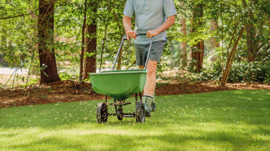 Feeding Your Lawn With Fertiliser