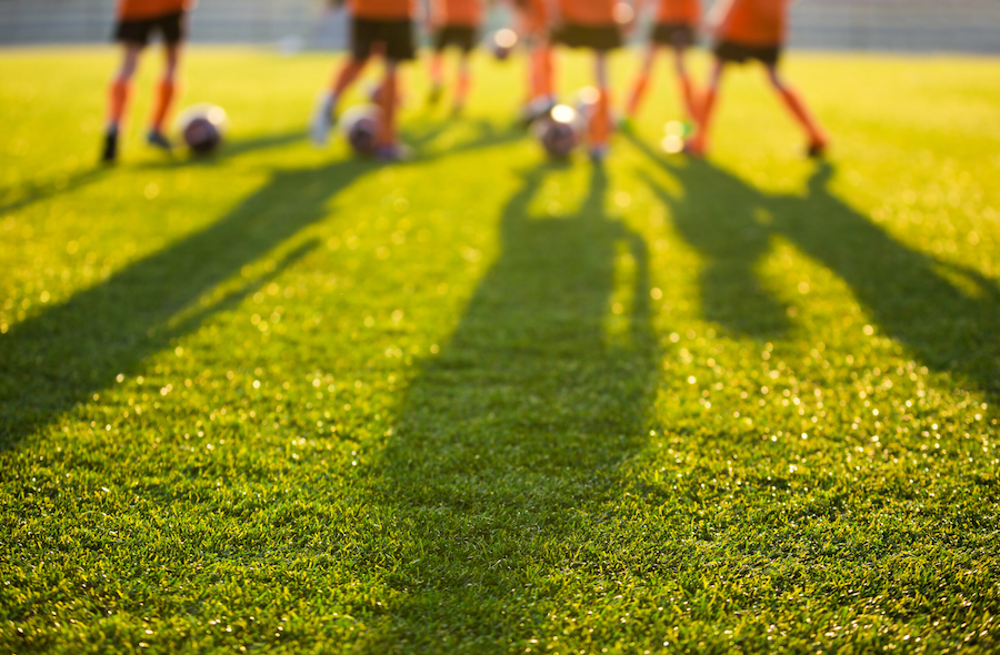 Kikuyu Turf Can Withold High Levels Of Foot Traffic