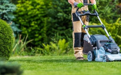 News 6 A Guide to Choosing the Right Mower in Australia