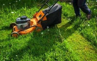 News 4 How to Mow a Slope: Tips for Maintaining a Sloped Lawn