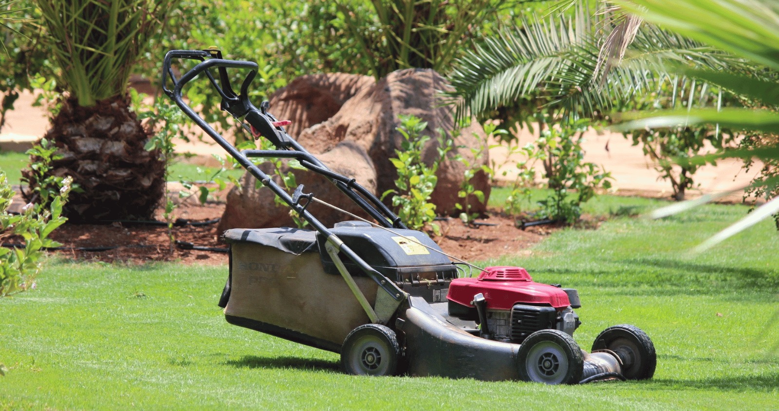Rotary Mower