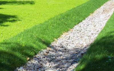 News 7 The Ultimate Guide to Improving Lawn Drainage