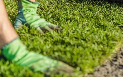News 12 Turf Sizes and Turf Rolls