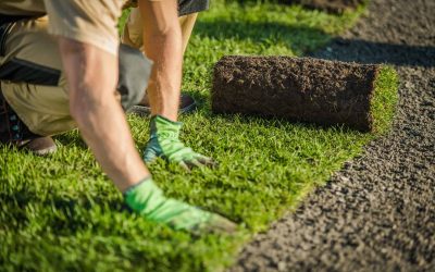 News 3 Your #1 Guide to Turf Underlay