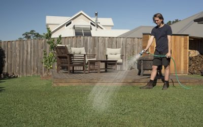 News 6 Signs You Have an Overwatered Lawn and How to Fix It