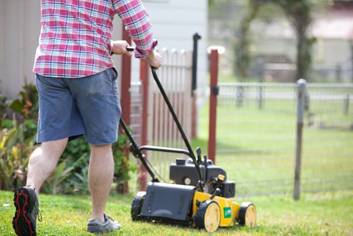Regular Lawn Maintenance