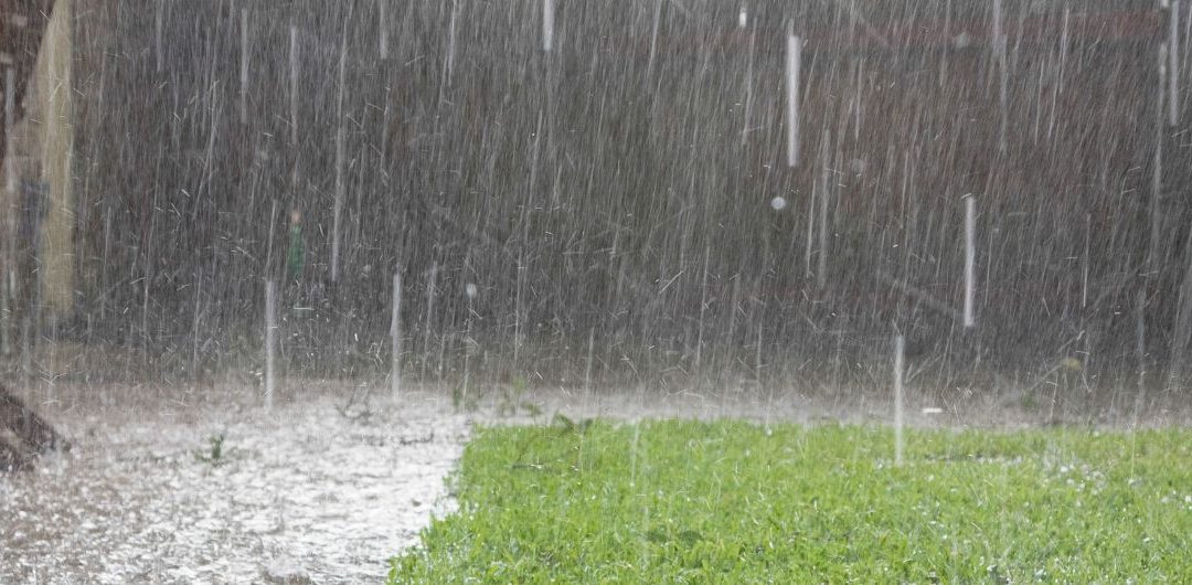 How To Recover A Lawn After Flooding