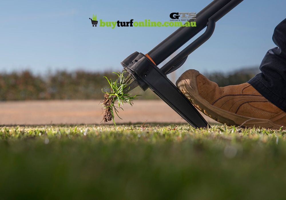 Summer Lawn Weeds: Prevention and Management 8 Hand pulling