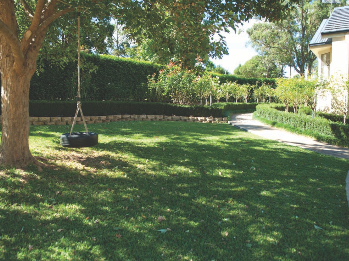 Shaded Lawn 